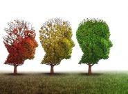 معکوس‌کردن روند پیری مغز با کاهش یک پروتئین