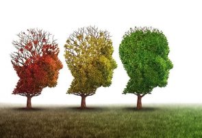معکوس‌کردن روند پیری مغز با کاهش یک پروتئین