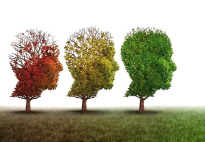 معکوس‌کردن روند پیری مغز با کاهش یک پروتئین