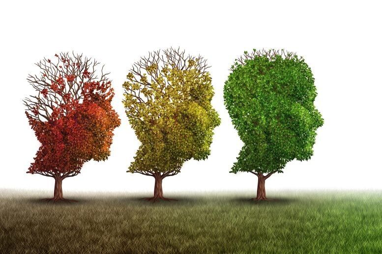 معکوس‌کردن روند پیری مغز با کاهش یک پروتئین