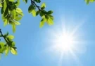 کاهش نسبی دما در شمال شرق و شرق کشور