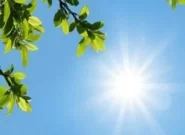 کاهش نسبی دما در شمال شرق و شرق کشور