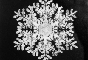 توری از یخ: ماجرای نخستین عکس از دانه برف