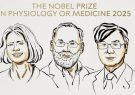 برندگان جایزه نوبل پزشکی ۲۰۲۵ اعلام شدند