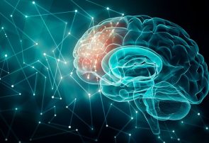 تشکیل کمیته مشترک اجرایی برای توسعه تعاملات در حوزه سلامت شناختی