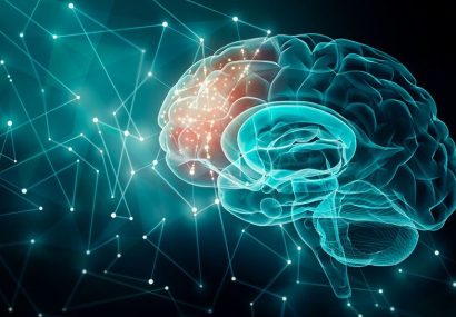 تشکیل کمیته مشترک اجرایی برای توسعه تعاملات در حوزه سلامت شناختی