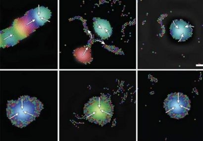 دستیابی به هوش جمعی پیچیده در ربات‌های میکروسکوپی