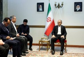 پزشکیان در دیدار وزیر کشور پاکستان‌ مطرح کرد