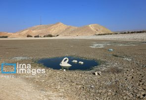 حل وضعیت آب تهران به یک اقدام ملی نیاز دارد