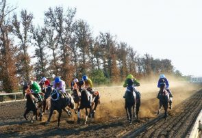 ۲۰۲ اسب برای هفته سوم کورس گنبدکاووس به خط شدند ۲۰۲ اسب برای هفته سوم کورس گنبدکاووس به خط شدند