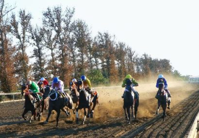 ۲۰۲ اسب برای هفته سوم کورس گنبدکاووس به خط شدند ۲۰۲ اسب برای هفته سوم کورس گنبدکاووس به خط شدند