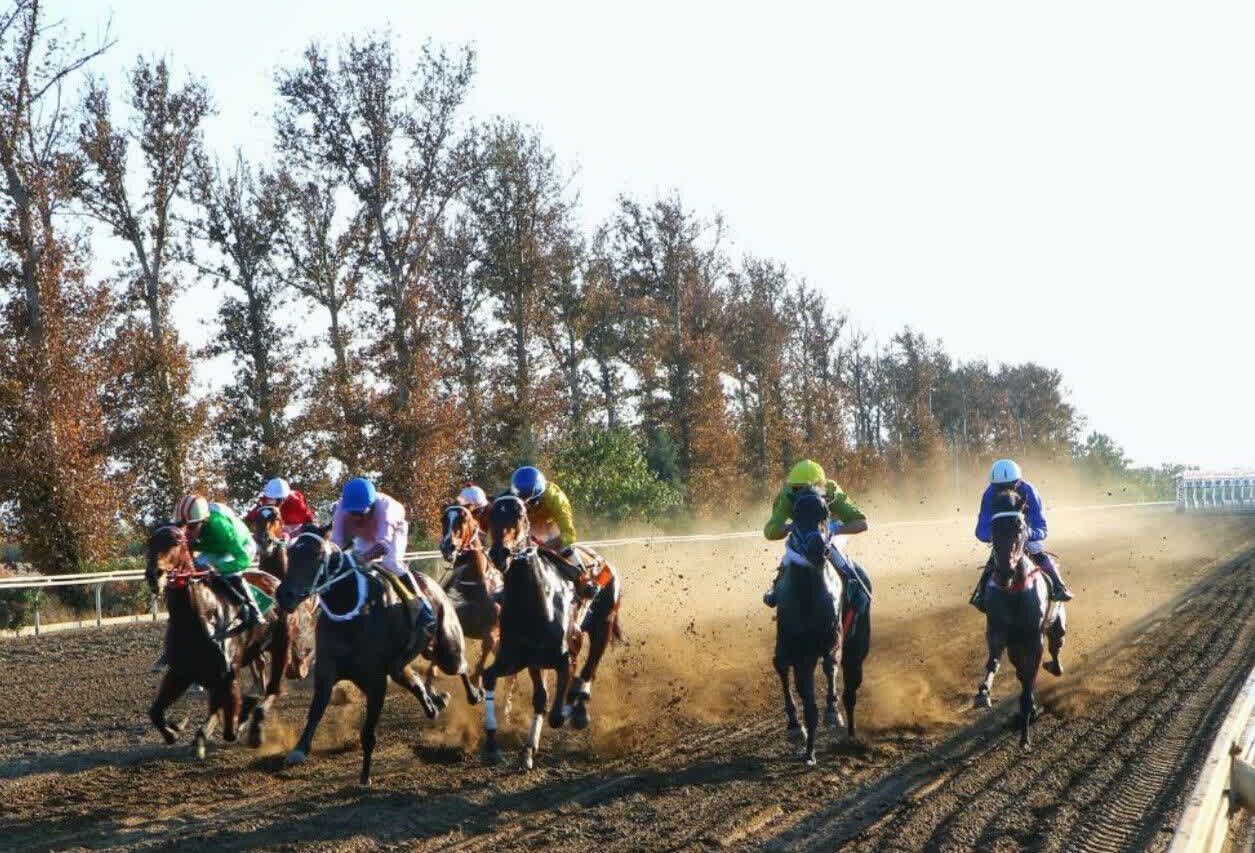 ۲۰۲ اسب برای هفته سوم کورس گنبدکاووس به خط شدند ۲۰۲ اسب برای هفته سوم کورس گنبدکاووس به خط شدند