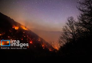 یک جرقه، یک فاجعه/ هشدار درباره افزایش آتش‌سوزی در جنگل‌ها و مراتع