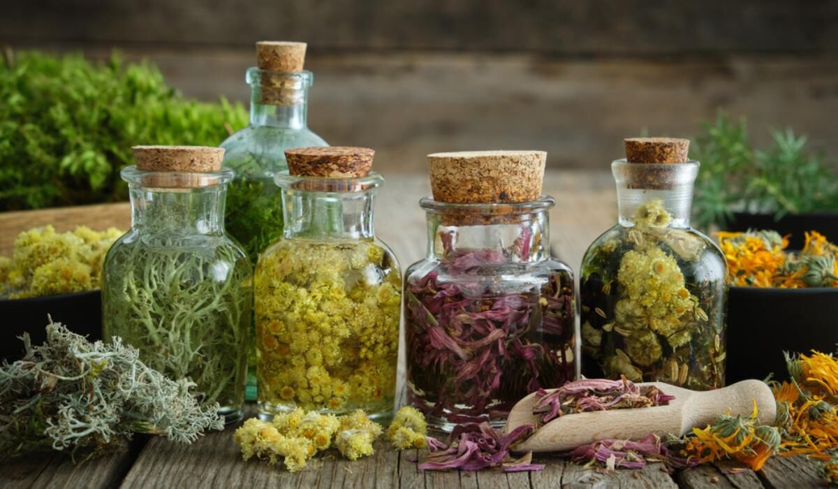 برنامه‌ریزی مشترک برای شتاب‌دهی به زیست‌بوم گیاهان دارویی و طب ایرانی