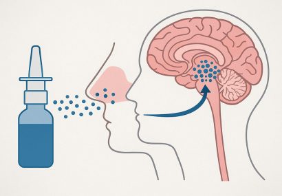 طراحی دارویی به صورت قطرهٔ بینی برای حذف تومورهای مغزی طراحی دارویی به صورت قطرهٔ بینی برای حذف تومورهای مغزی