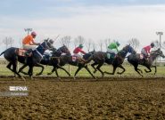 ۲۰۱ اسب آماده تاخت در هفته پنجم کورس گنبدکاووس ۲۰۱ اسب آماده تاخت در هفته پنجم کورس گنبدکاووس