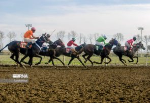 ۲۰۱ اسب آماده تاخت در هفته پنجم کورس گنبدکاووس ۲۰۱ اسب آماده تاخت در هفته پنجم کورس گنبدکاووس