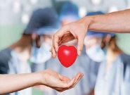 اهدای عضو فرزند معاون رئیس جمهور جان ۴ بیمار را نجات داد اهدای عضو فرزند معاون رئیس جمهور جان ۴ بیمار را نجات داد