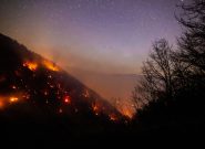 ۲۰ درصد جنگل الیت براثر حریق خسارت دیده است/ عامل انسانی، علت ۹۰ درصد آتشسوزیها ۲۰ درصد جنگل الیت براثر حریق خسارت دیده است/ عامل انسانی، علت ۹۰ درصد آتشسوزیها