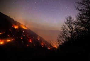 ۲۰ درصد جنگل الیت براثر حریق خسارت دیده است/ عامل انسانی، علت ۹۰ درصد آتشسوزیها ۲۰ درصد جنگل الیت براثر حریق خسارت دیده است/ عامل انسانی، علت ۹۰ درصد آتشسوزیها