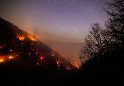 ۲۰ درصد جنگل الیت براثر حریق خسارت دیده است/ عامل انسانی، علت ۹۰ درصد آتشسوزیها ۲۰ درصد جنگل الیت براثر حریق خسارت دیده است/ عامل انسانی، علت ۹۰ درصد آتشسوزیها