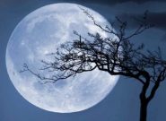 «ماه سرد» به آسمان می‌آید