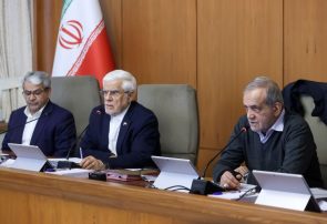 وزیر نفت : مصرف بنزین با سامان دهی کارت جایگاه ها روزانه ۹ میلیون لیتر کاهش یافت