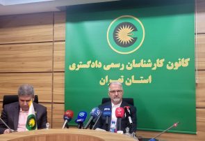 مرز میان وکیل و کارشناس رسمی برای افکار عمومی مشخص نیست مرز میان وکیل و کارشناس رسمی برای افکار عمومی مشخص نیست