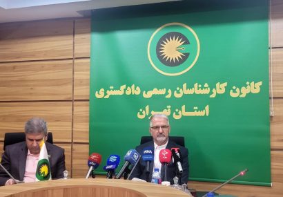 مرز میان وکیل و کارشناس رسمی برای افکار عمومی مشخص نیست مرز میان وکیل و کارشناس رسمی برای افکار عمومی مشخص نیست