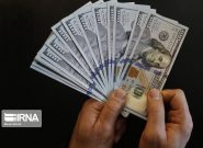 تامین ۴۸.۷ میلیارد دلار برای واردات کالاهای مختلف کشور